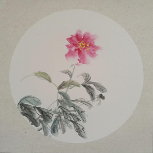 寫意芍藥 國畫38*38cm 1080